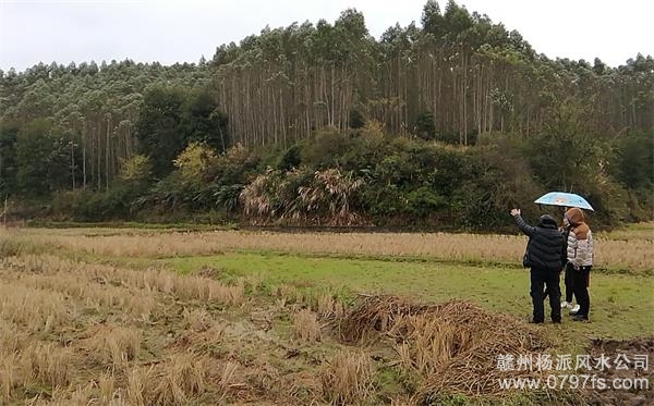 博尔塔拉蒙古自治州陈老师带着爱徒寻龙点穴